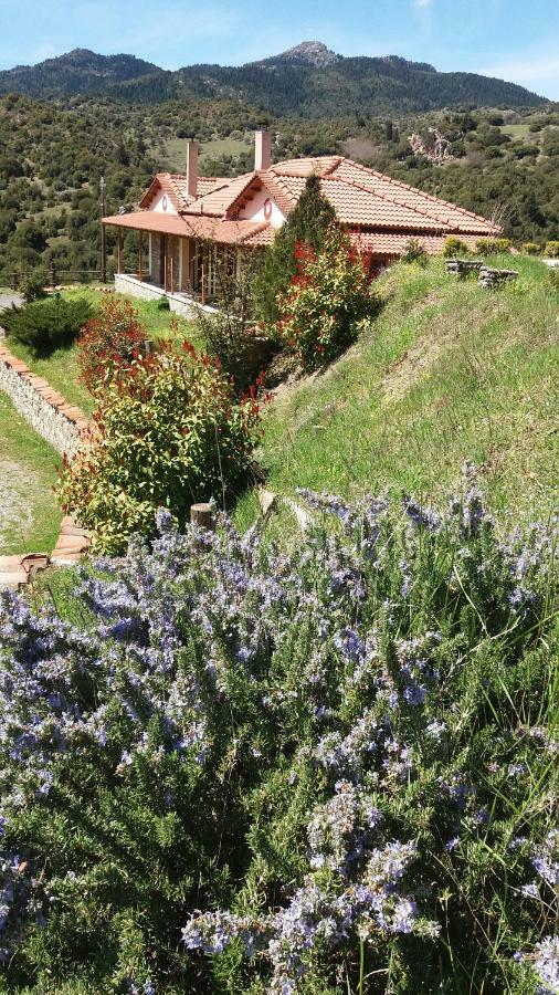 Agropoli Hotel Nimfasía Exterior photo